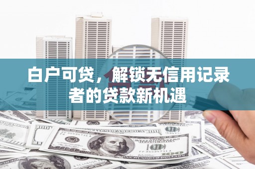 雅安白户可贷，解锁无信用记录者的贷款新机遇