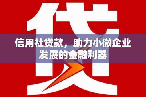 雅安信用社贷款，助力小微企业发展的金融利器