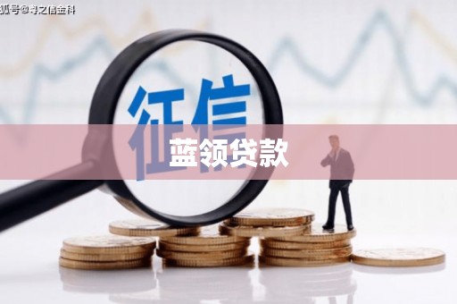 雅安蓝领贷款