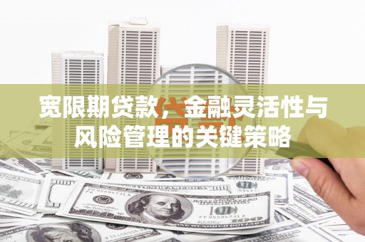 雅安宽限期贷款，金融灵活性与风险管理的关键策略