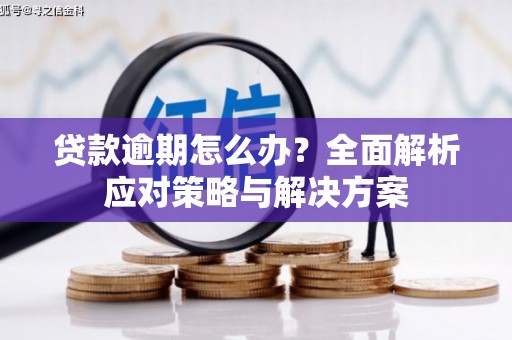 雅安贷款逾期怎么办？全面解析应对策略与解决方案