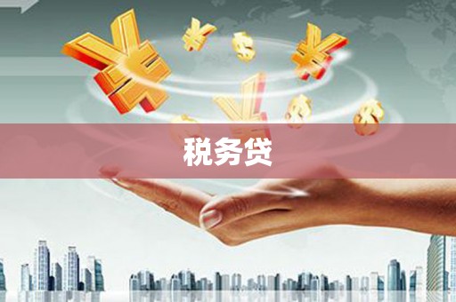 雅安税务贷