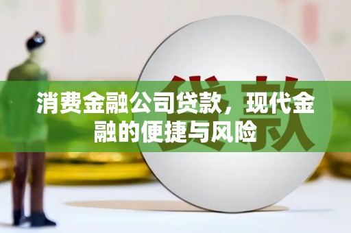 雅安消费金融公司贷款，现代金融的便捷与风险