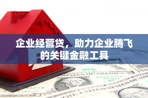 雅安企业经营贷，助力企业腾飞的关键金融工具