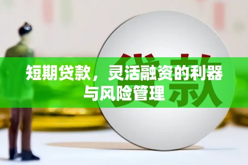 雅安短期贷款，灵活融资的利器与风险管理