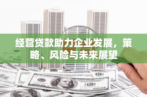 雅安经营贷款助力企业发展，策略、风险与未来展望