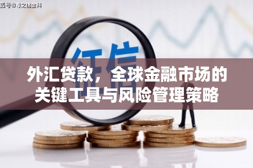 雅安外汇贷款，全球金融市场的关键工具与风险管理策略