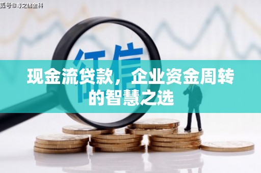 雅安现金流贷款，企业资金周转的智慧之选