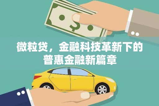 雅安微粒贷，金融科技革新下的普惠金融新篇章