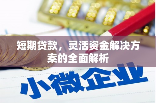 雅安短期贷款，灵活资金解决方案的全面解析