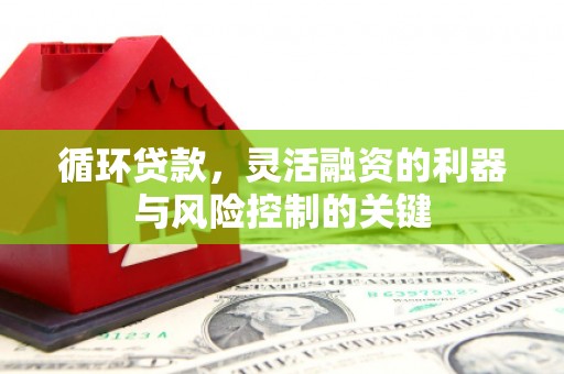 雅安循环贷款，灵活融资的利器与风险控制的关键