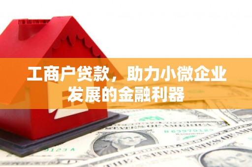 雅安工商户贷款，助力小微企业发展的金融利器