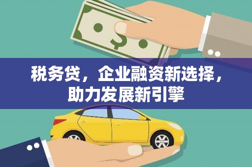 雅安税务贷，企业融资新选择，助力发展新引擎