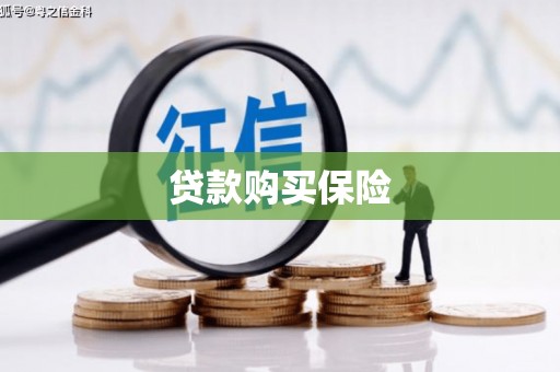 雅安贷款购买保险