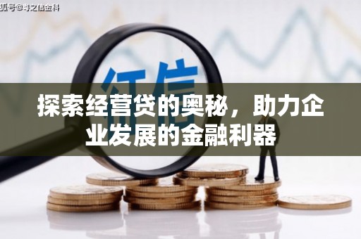 雅安探索经营贷的奥秘，助力企业发展的金融利器