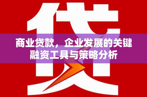 雅安商业贷款，企业发展的关键融资工具与策略分析