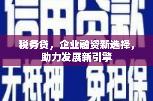 雅安税务贷，企业融资新选择，助力发展新引擎