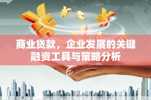 雅安商业贷款，企业发展的关键融资工具与策略分析