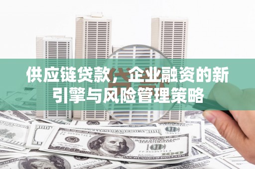 雅安供应链贷款，企业融资的新引擎与风险管理策略