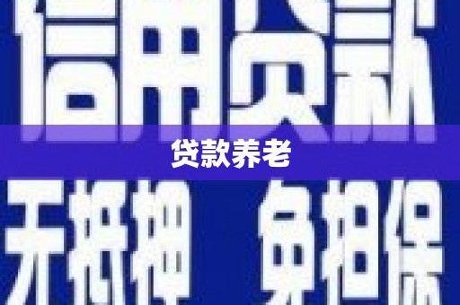 雅安贷款养老