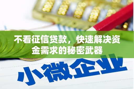 雅安不看征信贷款，快速解决资金需求的秘密武器
