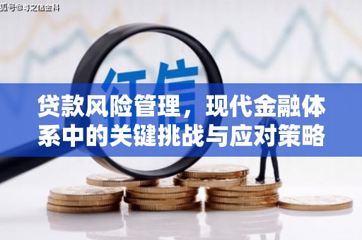 雅安贷款风险管理，现代金融体系中的关键挑战与应对策略