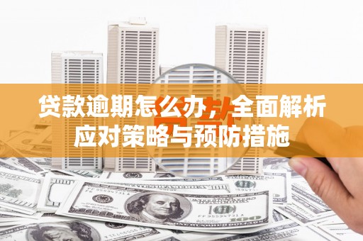 雅安贷款逾期怎么办，全面解析应对策略与预防措施