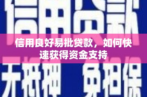 雅安信用良好易批贷款，如何快速获得资金支持