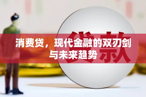 雅安消费贷，现代金融的双刃剑与未来趋势