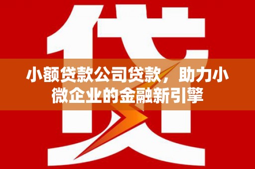 雅安小额贷款公司贷款，助力小微企业的金融新引擎