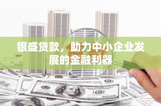 雅安银盛贷款，助力中小企业发展的金融利器