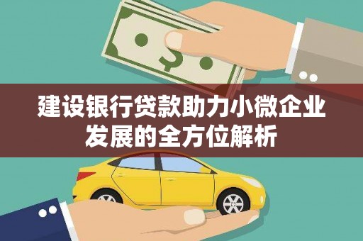 雅安建设银行贷款助力小微企业发展的全方位解析