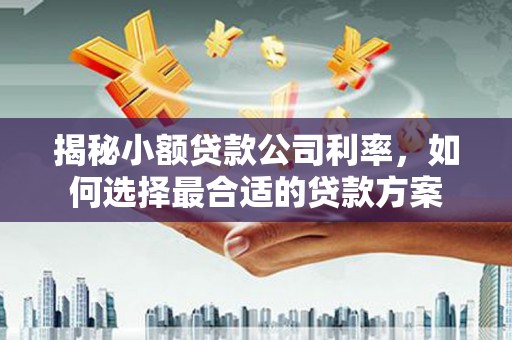 雅安揭秘小额贷款公司利率，如何选择最合适的贷款方案