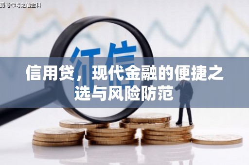 雅安信用贷，现代金融的便捷之选与风险防范