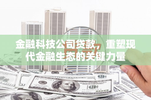 雅安金融科技公司贷款，重塑现代金融生态的关键力量