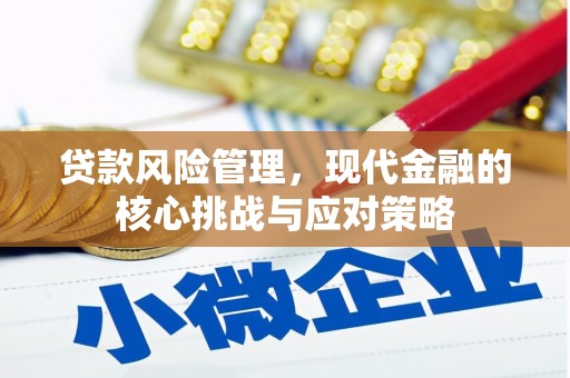 雅安贷款风险管理，现代金融的核心挑战与应对策略