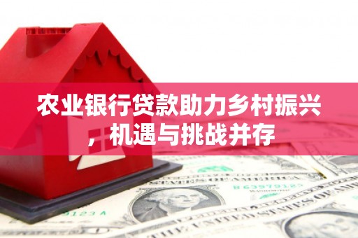 雅安农业银行贷款助力乡村振兴，机遇与挑战并存