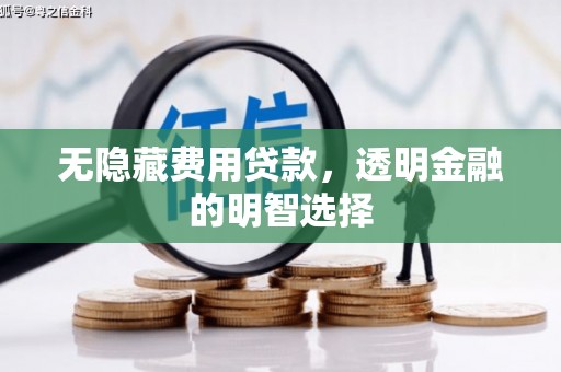 雅安无隐藏费用贷款，透明金融的明智选择