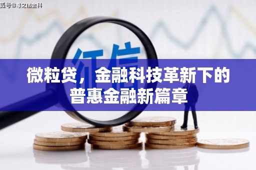雅安微粒贷，金融科技革新下的普惠金融新篇章