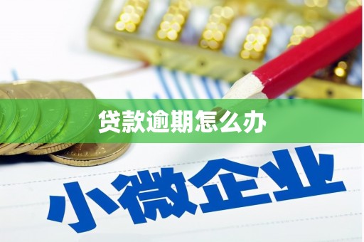 雅安贷款逾期怎么办