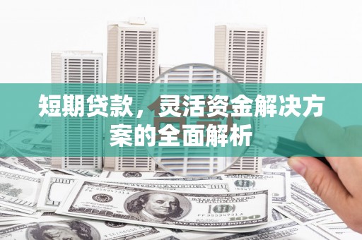 雅安短期贷款，灵活资金解决方案的全面解析