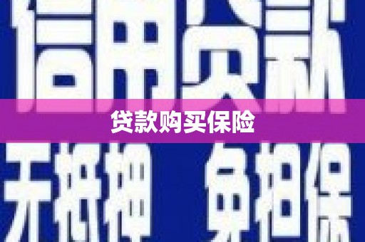雅安贷款购买保险