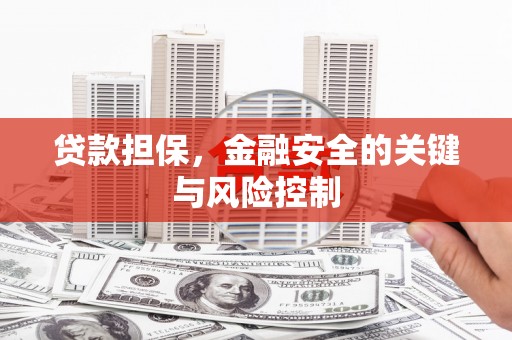 雅安贷款担保，金融安全的关键与风险控制