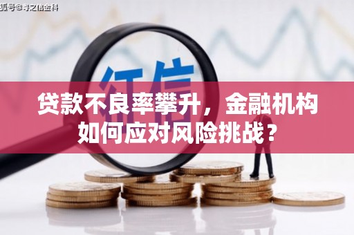 雅安贷款不良率攀升，金融机构如何应对风险挑战？