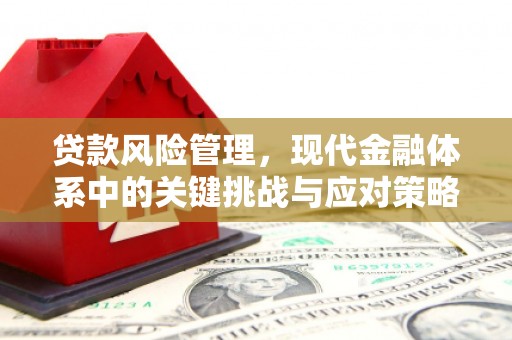 雅安贷款风险管理，现代金融体系中的关键挑战与应对策略