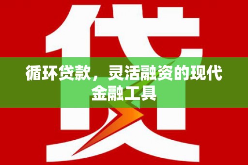 雅安循环贷款，灵活融资的现代金融工具