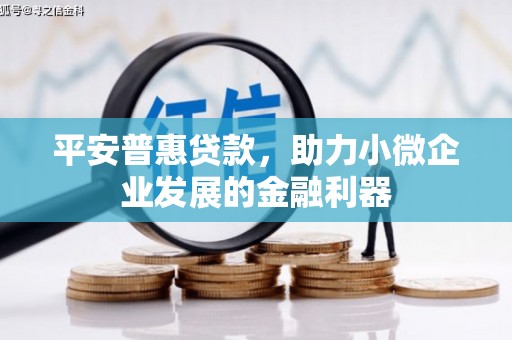 雅安平安普惠贷款，助力小微企业发展的金融利器