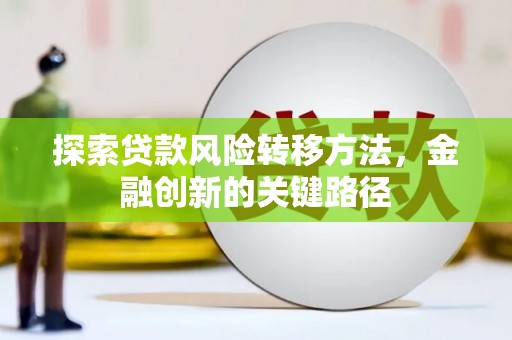 雅安探索贷款风险转移方法，金融创新的关键路径