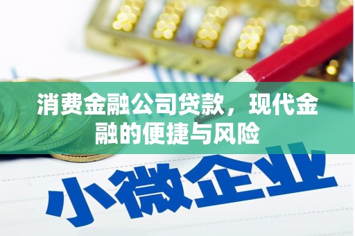 雅安消费金融公司贷款，现代金融的便捷与风险