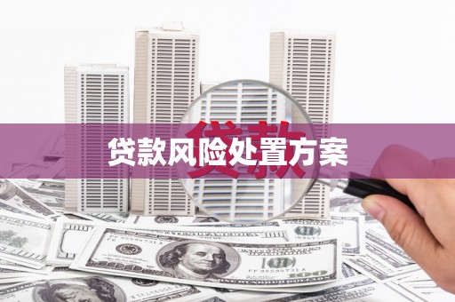 雅安贷款风险处置方案